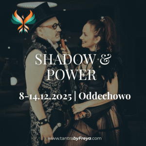 Shadow & Power Workshop 2025