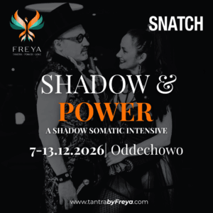 Shadow & Power Workshop 2026